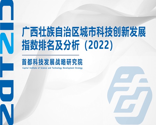 狂操美女嫩逼网站【成果发布】广西壮族自治区城市科技创新发展指数排名及分析（2022）